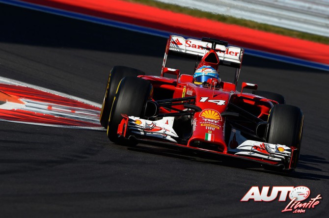 Hombre Fernando Alonso (Ferrari)